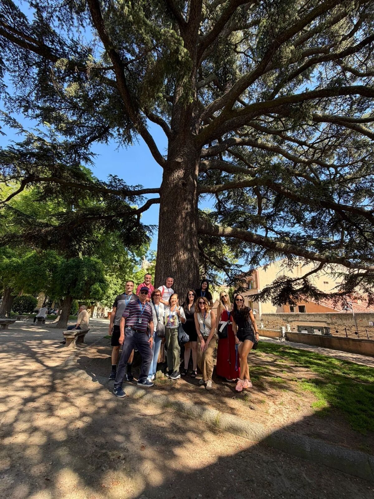The Abulafia family gathered under a cedar tree